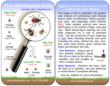 Lyme Disease Prevention Begins with Proper Tick Identification and...